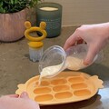 Fresh Food Feeder and Teether